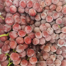 Chinese supplier grape fresh grape new season sweet fresh grape price